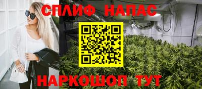 СК Будённовск