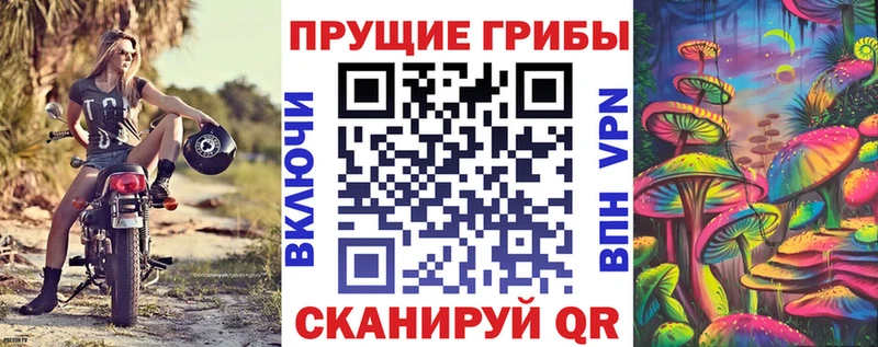 Галлюциногенные грибы GOLDEN TEACHER даркнет сайт площадка наркотические препараты Видное